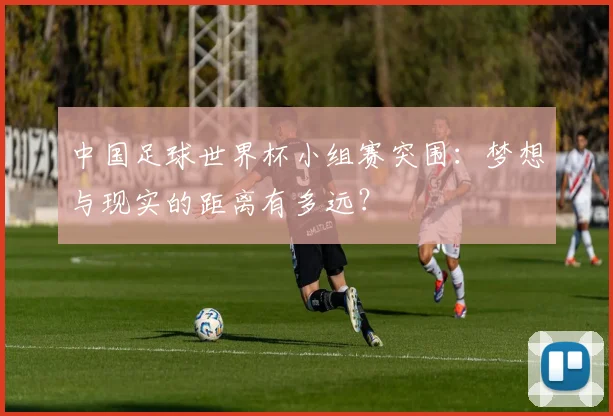 中国足球世界杯小组赛突围：梦想与现实的距离有多远？