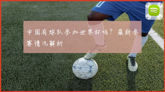 中国有球队参加世界杯吗？最新参赛情况解析