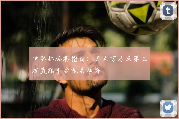 世界杯观赛指南：五大官方及第三方直播平台深度横评