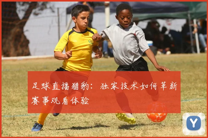 足球直播猎豹：独家技术如何革新赛事观看体验