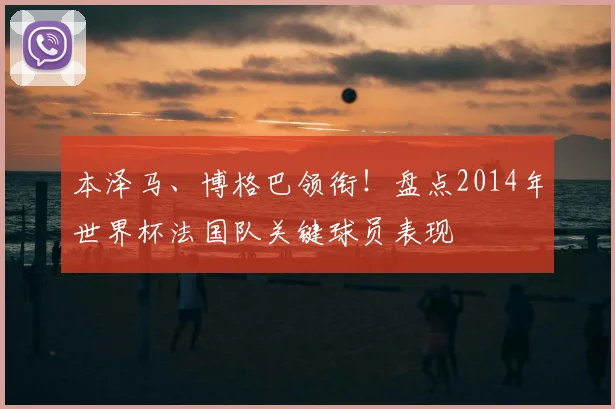 本泽马、博格巴领衔！盘点2014年世界杯法国队关键球员表现