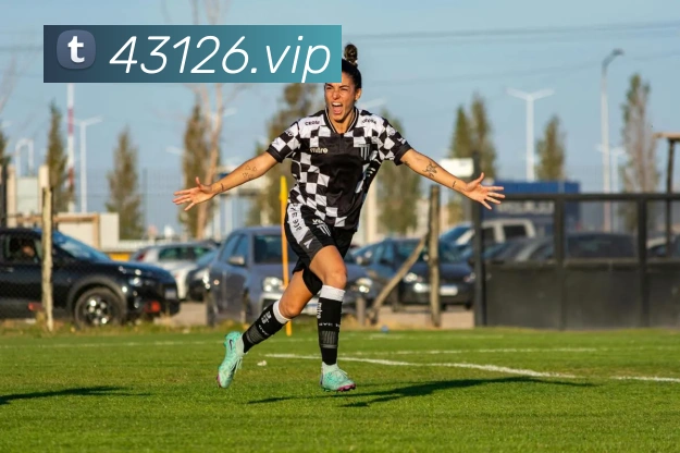 米兰app体育安全登录入口服务体系